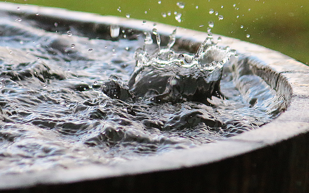 Qualité et sécurité de l'eau de pluie par Blue Mountain Co Rain Harvesting
