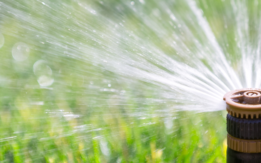 Pump Selection – Distributing Rainwater Around Your Home