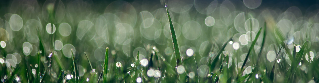 Luxury Grey Water Conservation Systems - Gallery & Information - Jerry ...