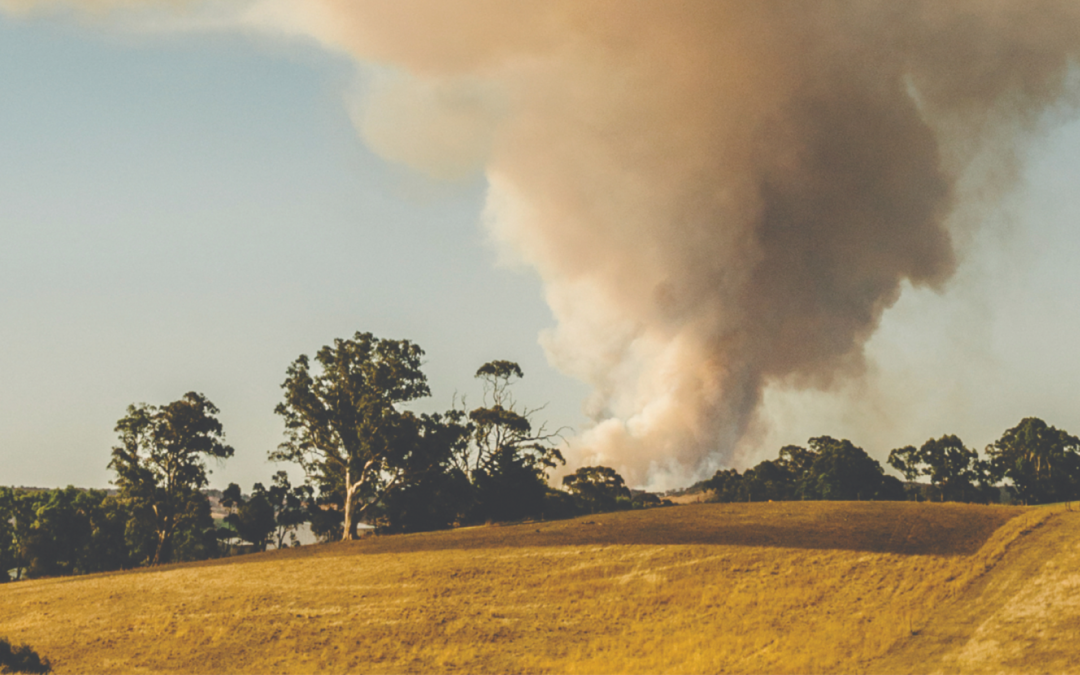 Are you prepared for bushfire season?
